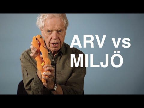 Video: Varför är arv viktigt?