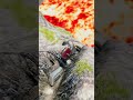 Cars vs Giant Lava Pit – BeamNG.drive #shorts #beamngdrive #usa #viral