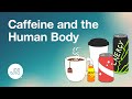 Caffeine health and the human body