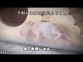 危険を感じ、、ある物を撤去しました...(赤ちゃんハムスター)