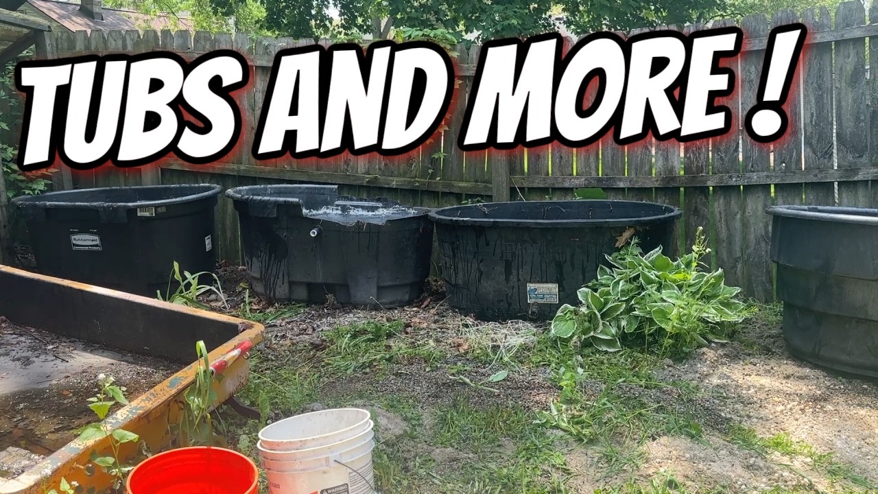 The Beginning of Summer Tubs, A Mostly Completed Fish Room & More!