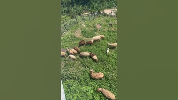 Lên xu hướng nhờ thước phim quay tại view triệu đô của ĐỒI CỪU ĐÀ NẴNG