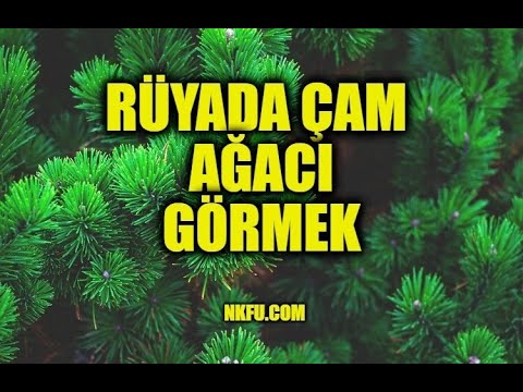 Video: Çam Astarı: C Sınıfı Ladin Astarının Boyutları, çam Ağacı ürünlerinin Kalınlığı