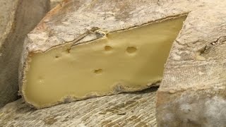 Terroir Rond Et Moelleux, Cette Merveille De Saint-Nectaire