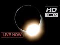 ECLIPSE LIVE NOW!😎🌒  Total Solar Eclipse (AUGUST 21st 2017) NASA TV #Great American Eclipse