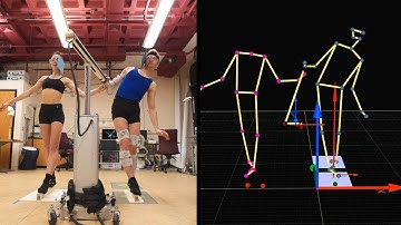 The Science of Movement | Narrative