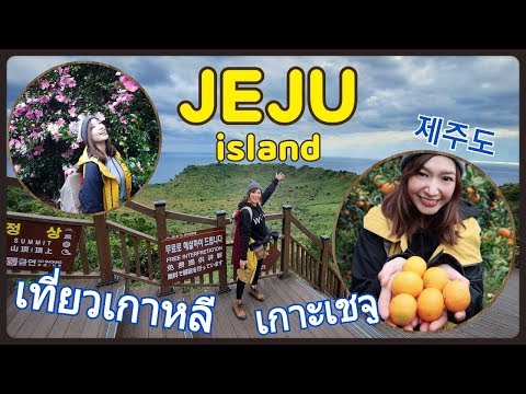 เที่ยวเกาหลีที่เกาะเชจู มรดกโลก UNESCO!! Jeju Island Vlog