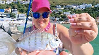 Caught Some Beautiful Fish at Old Harbour Gordon's Bay