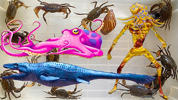 Kem Ốc Chanel ra ngõ bắt con rắn mòng đỏ, nhờ Doreamon bắt quỷ đầu bạch tuộc, cứu con cua, con cá