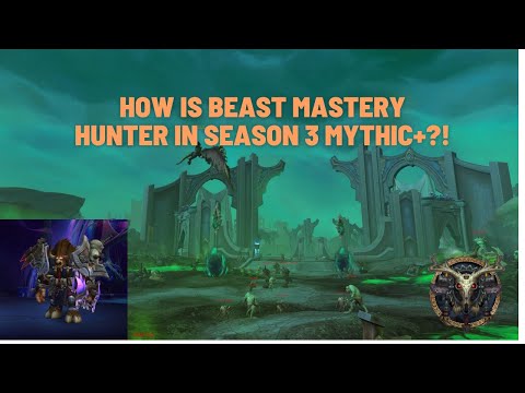 How Is Night Fae Beast Mastery Hunter In 9.2 Mythic+ Season 3? WoW Shadowlands Necrotic Wake Part 2
