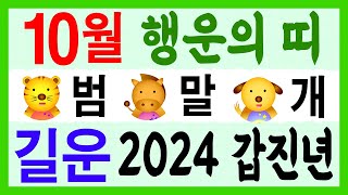 2024 갑진년 10월 행운의 띠! 범띠, 말띠, 개띠 길운!! 에 대한 강의입니다~ 사주/운세/역학/철학/…