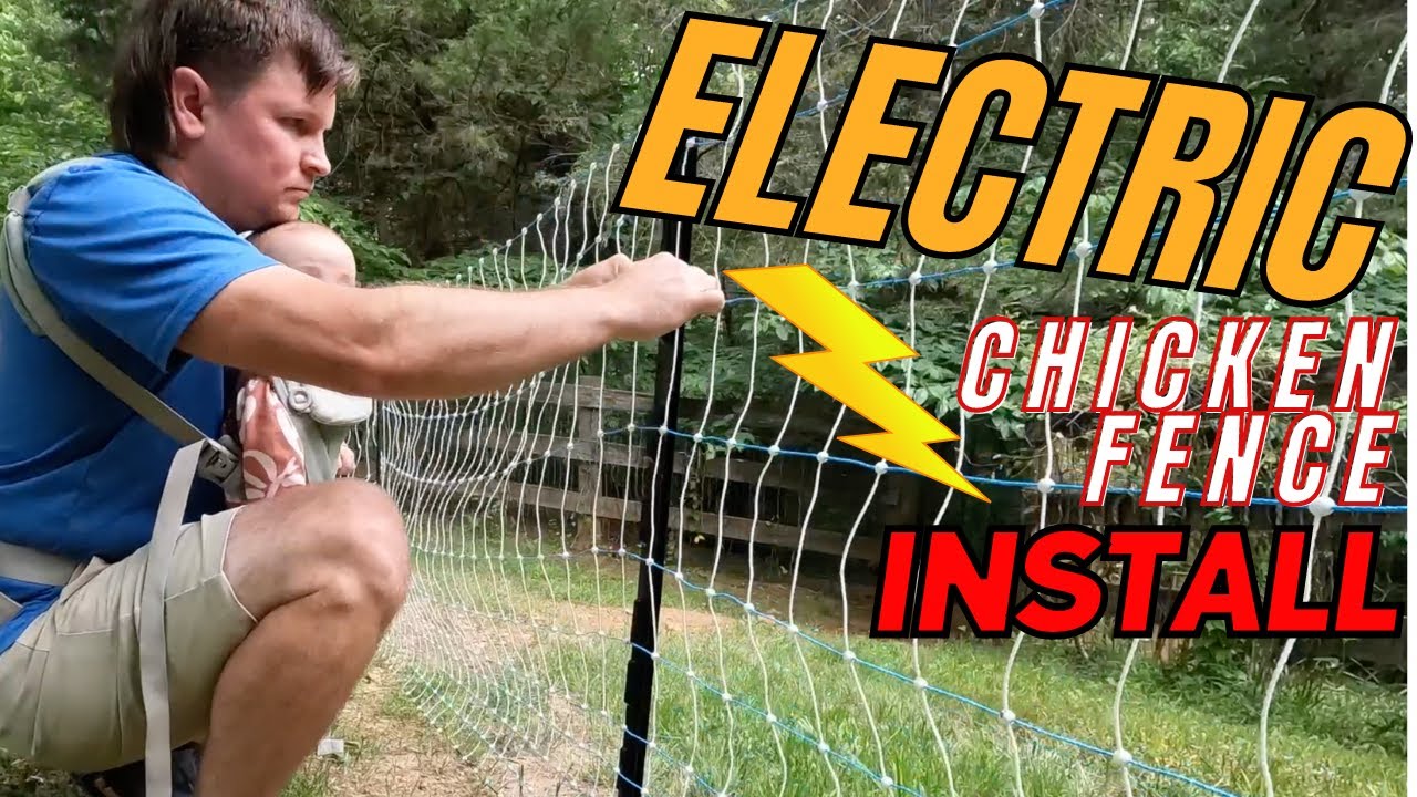 Installing An Electric Chicken Fence 