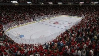 NHL 09 Stanley Cup Celebrations