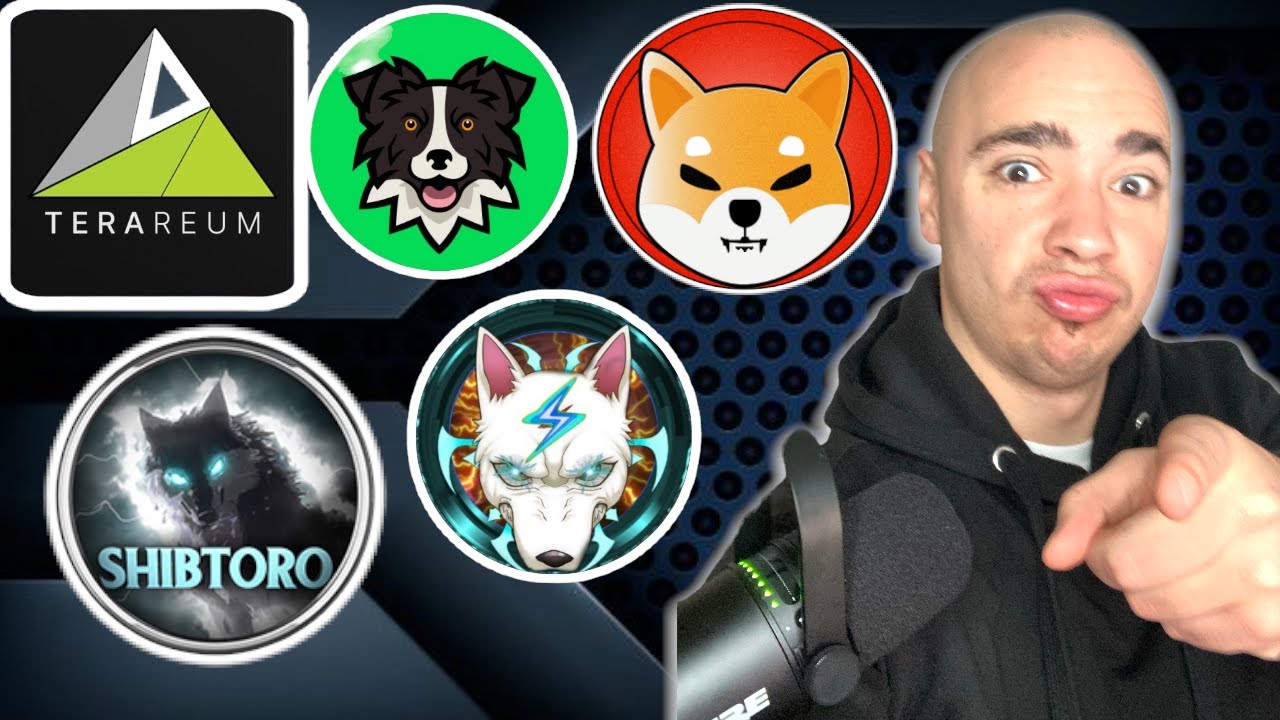 Crypto LIVE! Shiba Inu Updates. Apollo Inu Moving Up. Shibtoro Future. Terareum New Exchange.