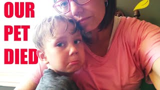 Jerry Died | Does Anybody Care? #seekyourtruth