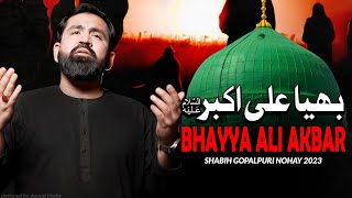 Nohay 2023 | Bhaiya Ali Akbar | Shabih Gopalpuri Nohay 2023 | Noha Bibi Sughra | New Noha 2023