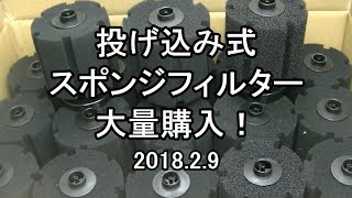 投げ込み式スポンジフィルター大量購入！