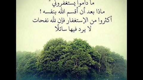 سورة الاحزاب للقارئ حمزة تكارلي ( من ليالي رمضان)
