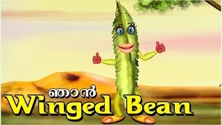 The Speaking Winged Bean | Malayalam | Kids Animation