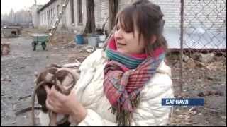 В добрые руки 20.10.14 (16+) В добрые руки 20.10.14 (16+)