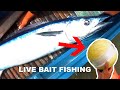 Nakahuli ng Tanigue | Spanish Mackerel Catch | One Catch but Everyone is Happy (Catch and Sell)