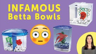 These betta fish tanks need to go