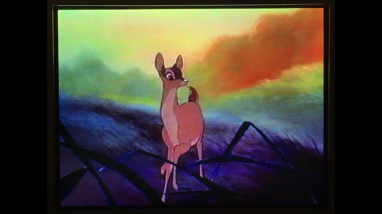 Bambi 1997 VHS Part 11