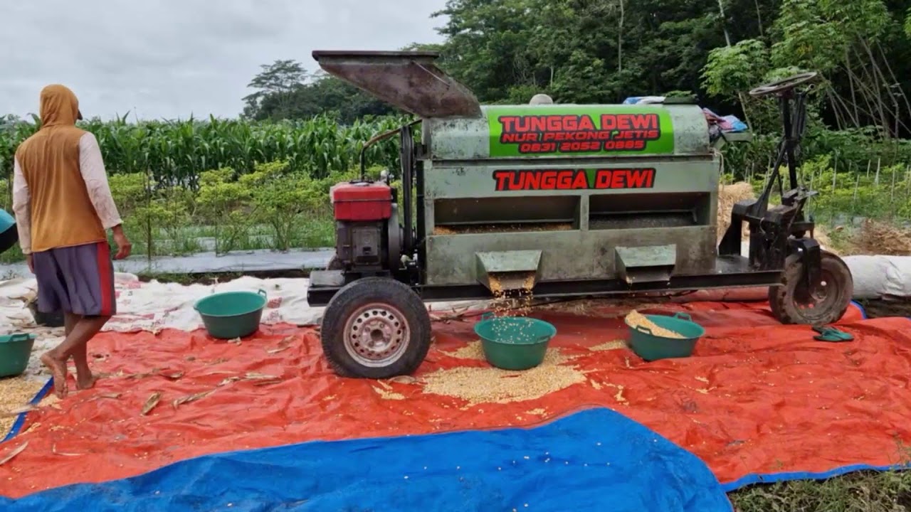 GOD-LEVEL SKILLS FARMER USING MODERN MACHINES TO GRIND CORN IN MINUTES! -Agriculture Farming