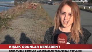 Rizede Kışlık Odunlarını Denizden Çıkardılar