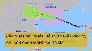 Cập nhật mới nhất: Bão số 1 giật cấp 12, chỉ còn cách Móng Cái 70 km | Tin mới