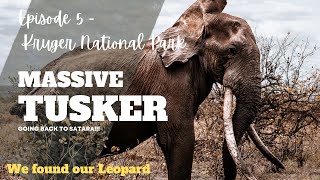 Kruger National Park: Ep 5 - MASSIVE TUSKER!! Back to Satara! (Finale) by Gunnland Explores 8,713 views 2 years ago 15 minutes