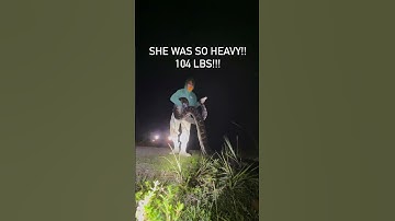 16 FOOT PYTHON - How to actually catch a 16 foot Burmese Python!! They