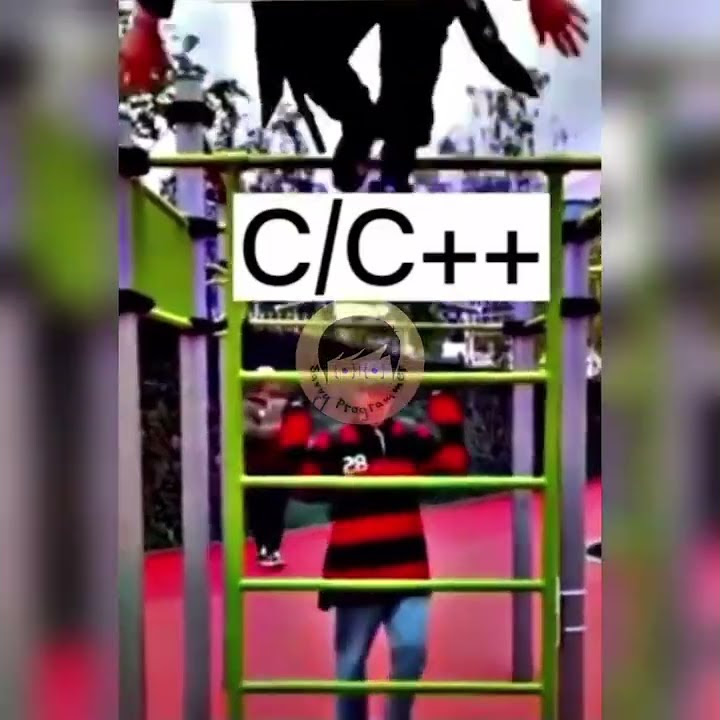  java vs c vs javascript vs python shorts shortsvideo viral 