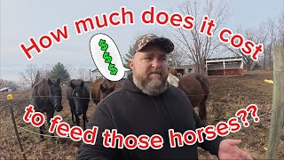 How much does it cost to feed a horse?