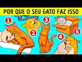 É Por Isso que Seu Gato Adora Pias e Caixas