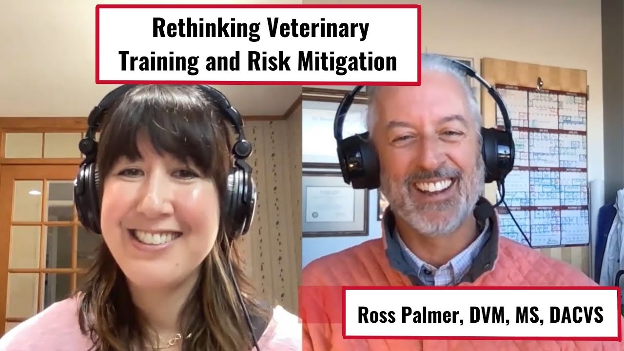 What Can We Learn from Pilots? Rethinking Veterinary Training & Risk