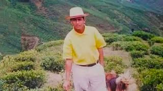 NIFTY TODAY ON THURSDAY