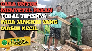 CARA🟠MENYETEL PAKAN  BANYAK SEDIKITNYA PADA JANGKRIK KECIL