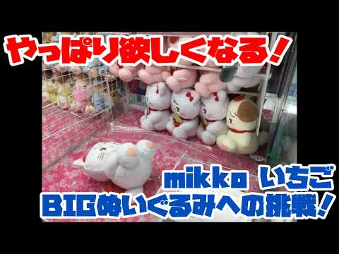 トリプル】やっぱり欲しくなる！mikko いちごBIGぬいぐるみへの挑戦