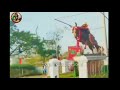 Jallikattu silai jallikattu whatsapp status tamil sk jallikattu official jallikattu training sk