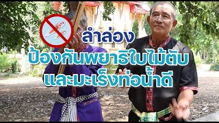 ลำล่อง ป้องกันพยาธิใบไม้ตับและมะเร็งท่อน้ำดี