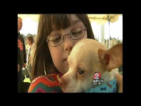 ვიდეო: Flyball: მოიტანეთ მეტი გართობა თქვენს ცხოვრებაში