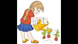 201501 助缘21328