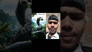 World Largest Snake #facts #science #shorts