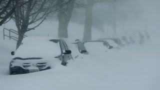 Famous Winter Storm Jonas Leaves Several Dead, Travel Restricted - Newsy Profile