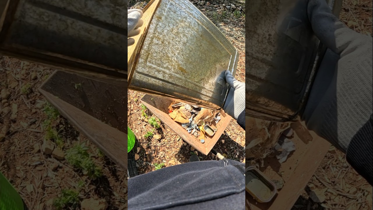 Cleaning day w/first time Go Pro!! #farm #garden #nature #satisfying