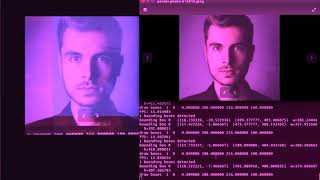 DetectNet with TensorRT in Jetson TX2