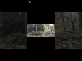 Что такое наблюдать за наблюдаемым или направлять внимание на внимание