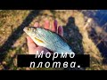 Появилось время иду мормышить. Весенняя плотва на мормышинг.