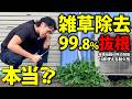 【禁断検証その8】海外の怪しい除草ツールを買ってみた
